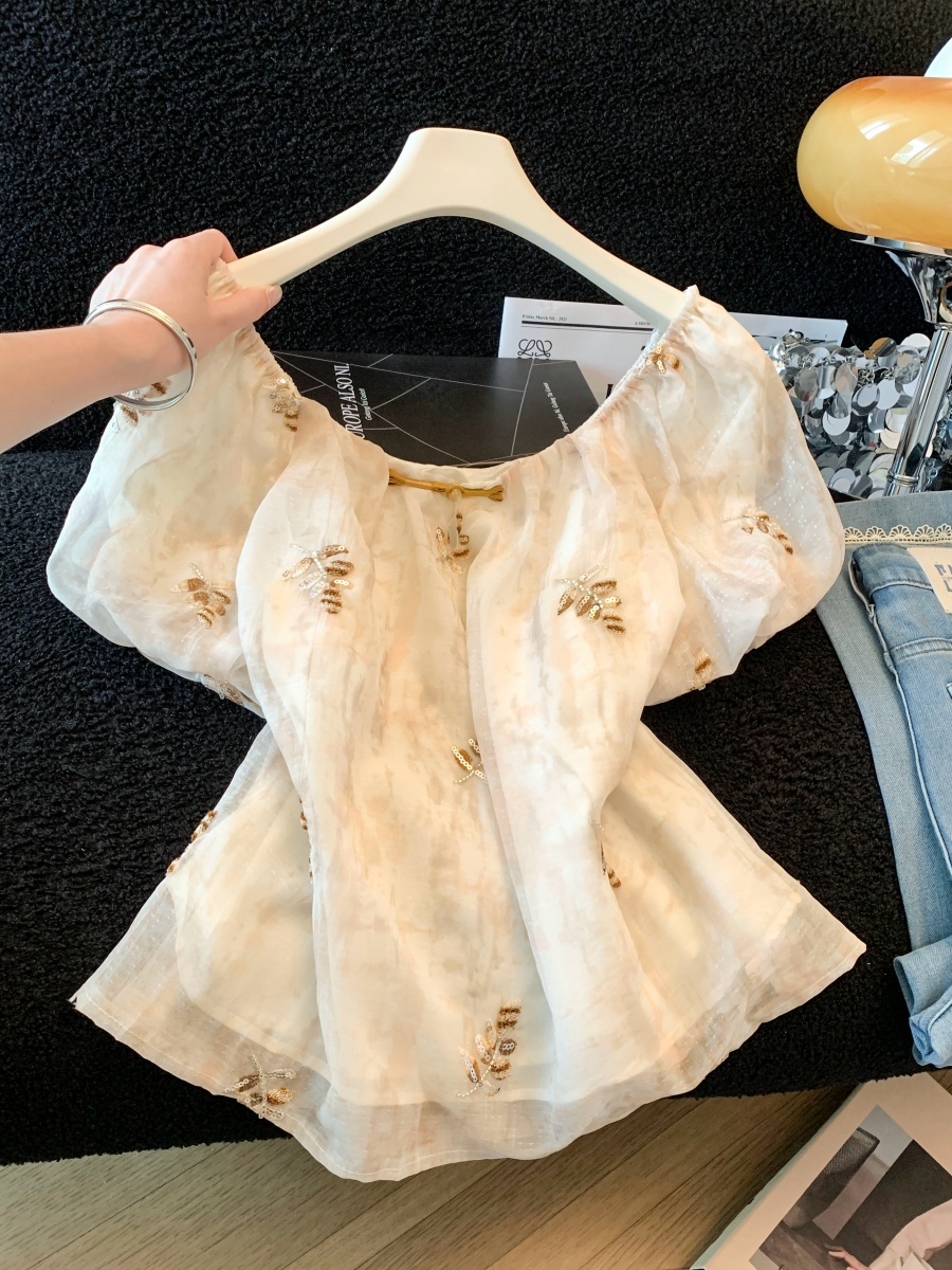 Beige Heavy Embroidery Sequin  - Embroidery Unique Design のレビューと価格