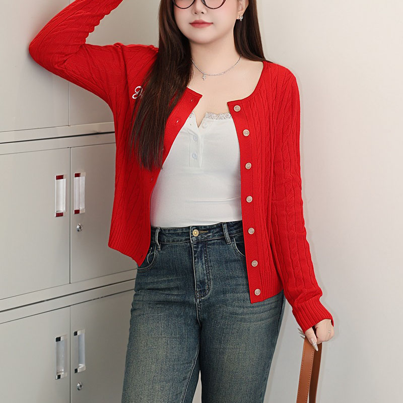 Fashion Plus Size Women's Swea - Embroidery Red のレビューと価格